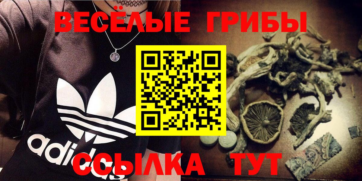 Псилоцибиновые грибы Cubensis Чебоксары